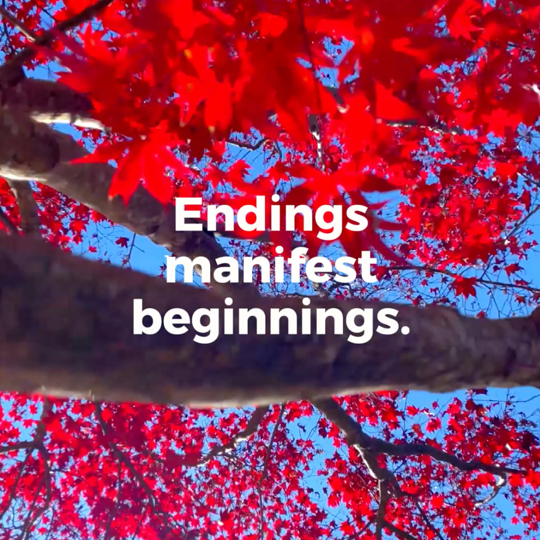 Endings manifest beginnings