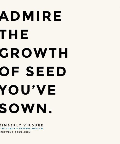 Admire the Growth Of Seed You've Sown