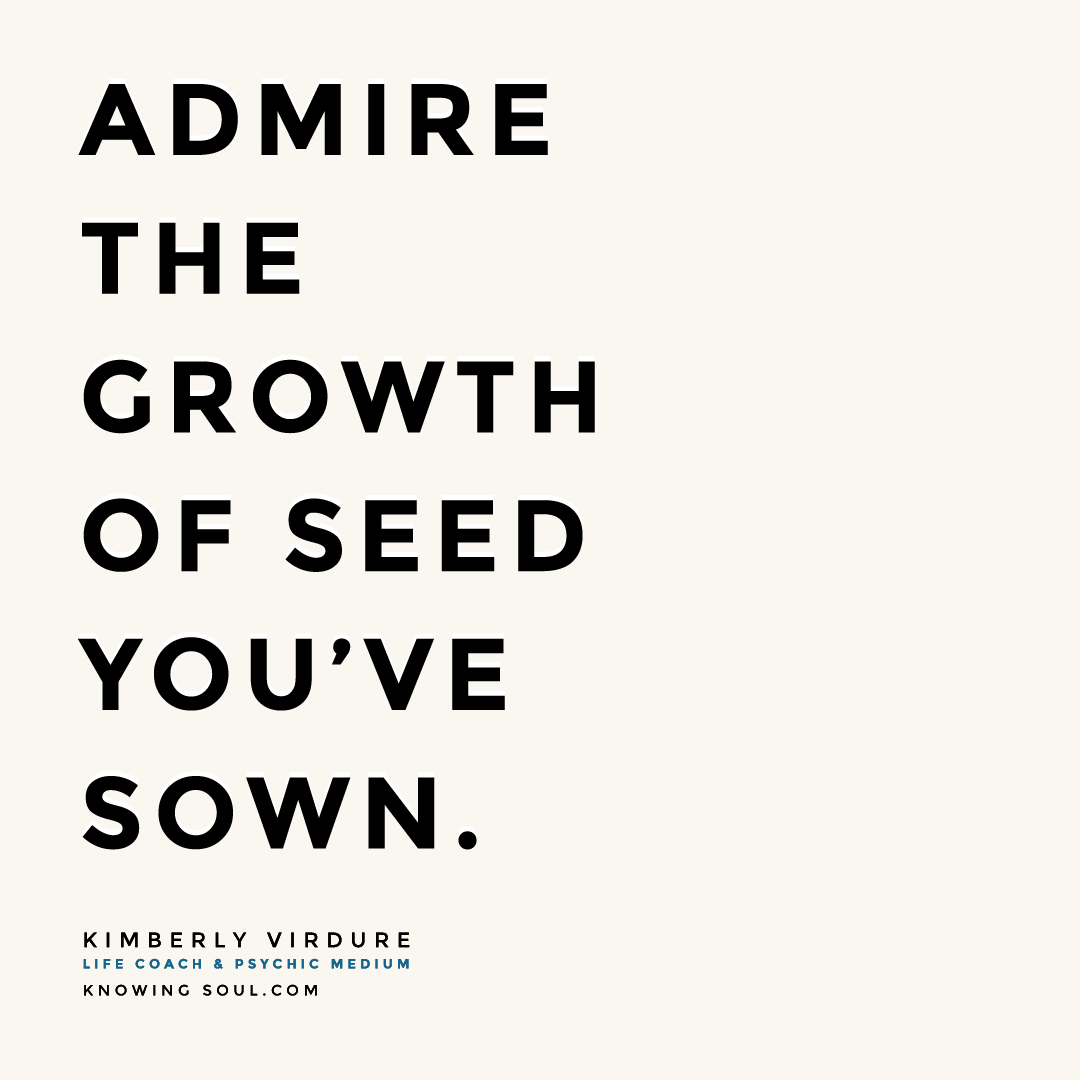 Admire the Growth Of Seed You've Sown