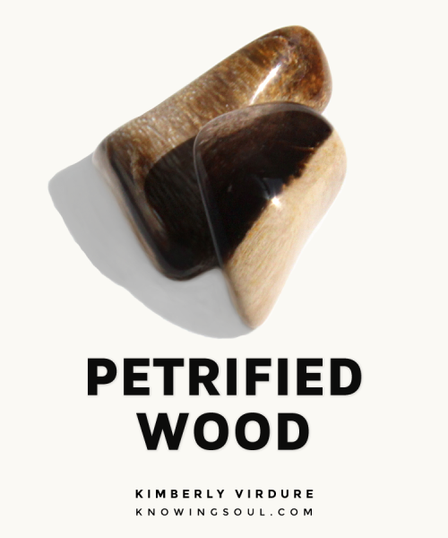 Petrified Wood