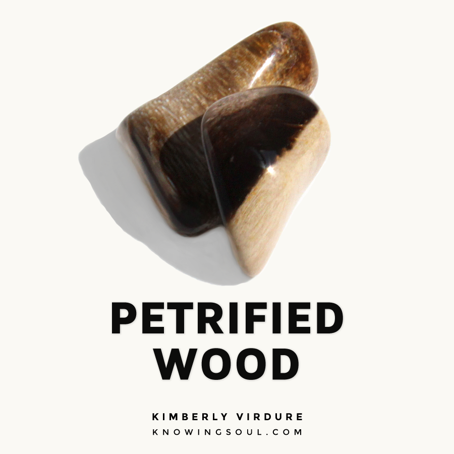 Petrified Wood