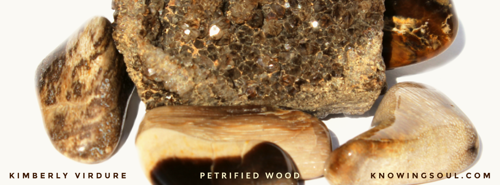 Petrified Wood