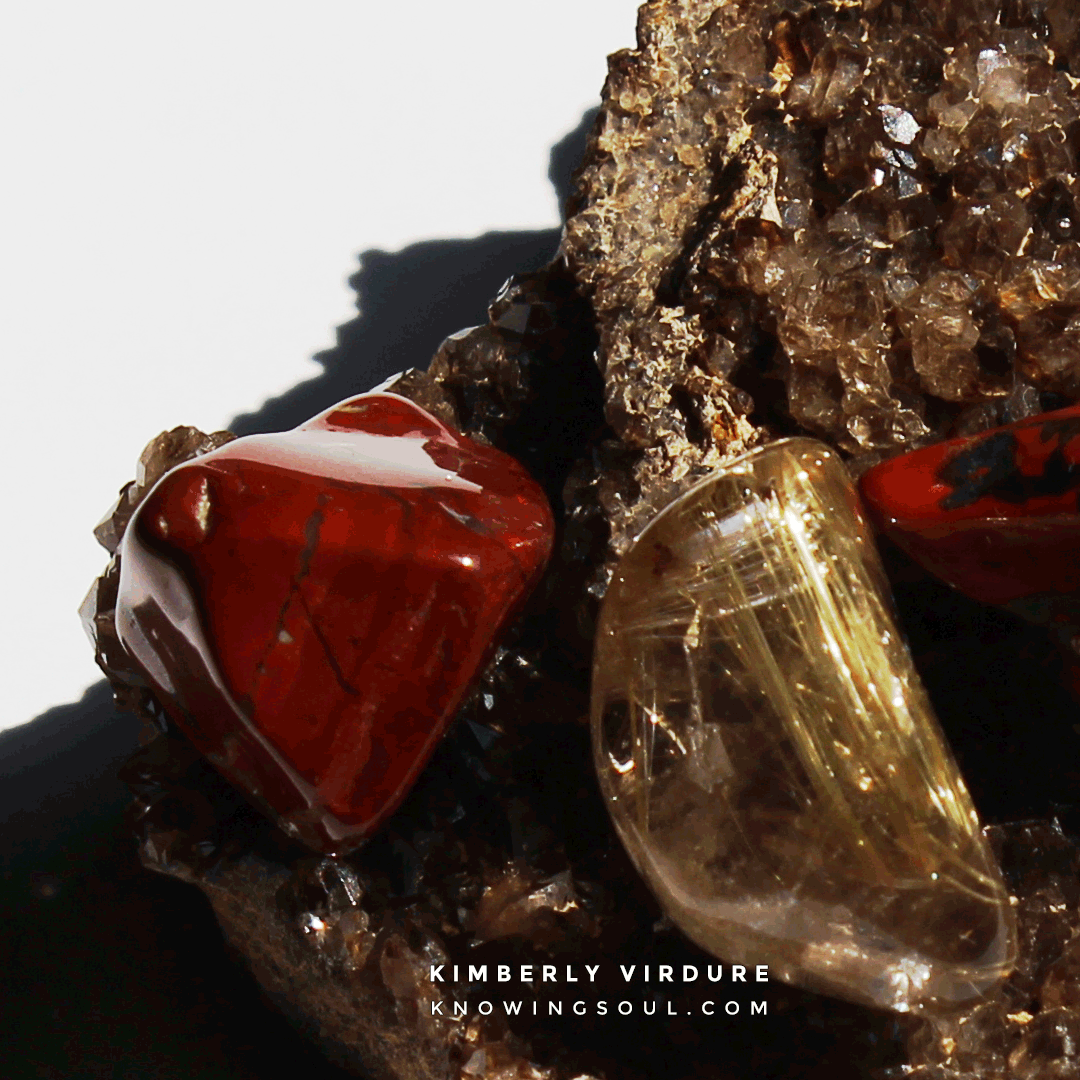 Petrified Wood, Red Jasper, and Rutilated Quartz